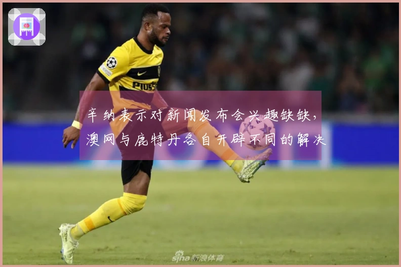 辛纳表示对新闻发布会兴趣缺缺，澳网与鹿特丹各自开辟不同的解决之道