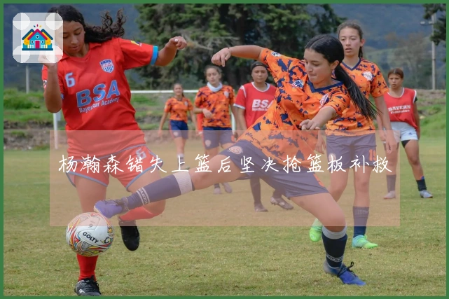 杨瀚森错失上篮后坚决抢篮板补救