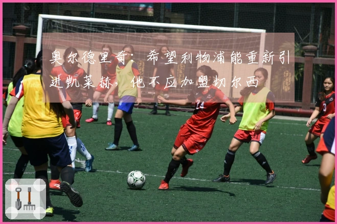 奥尔德里奇：希望利物浦能重新引进凯莱赫，他不应加盟切尔西