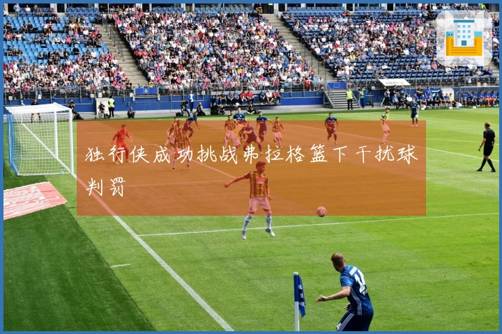 独行侠成功挑战弗拉格篮下干扰球判罚