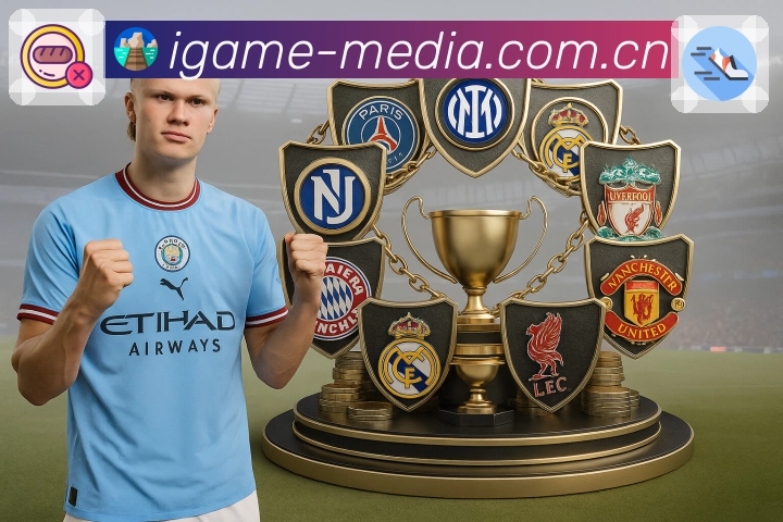 爱游戏APP 封面图